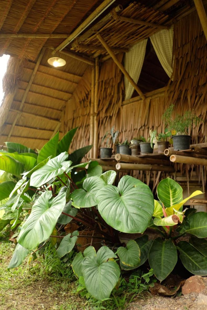 Royal Mountain Hut Hotell Ratchaburi Rom bilde