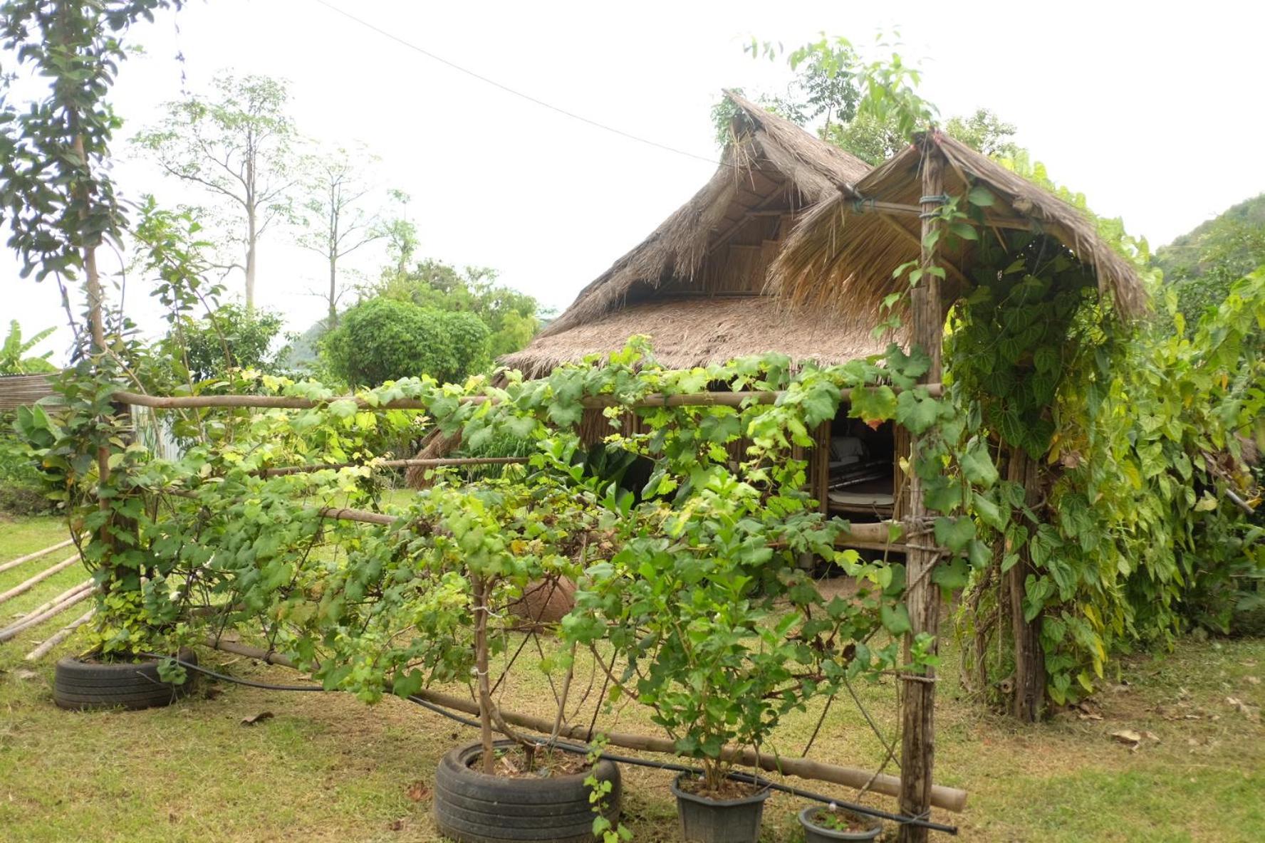Royal Mountain Hut Hotell Ratchaburi Rom bilde
